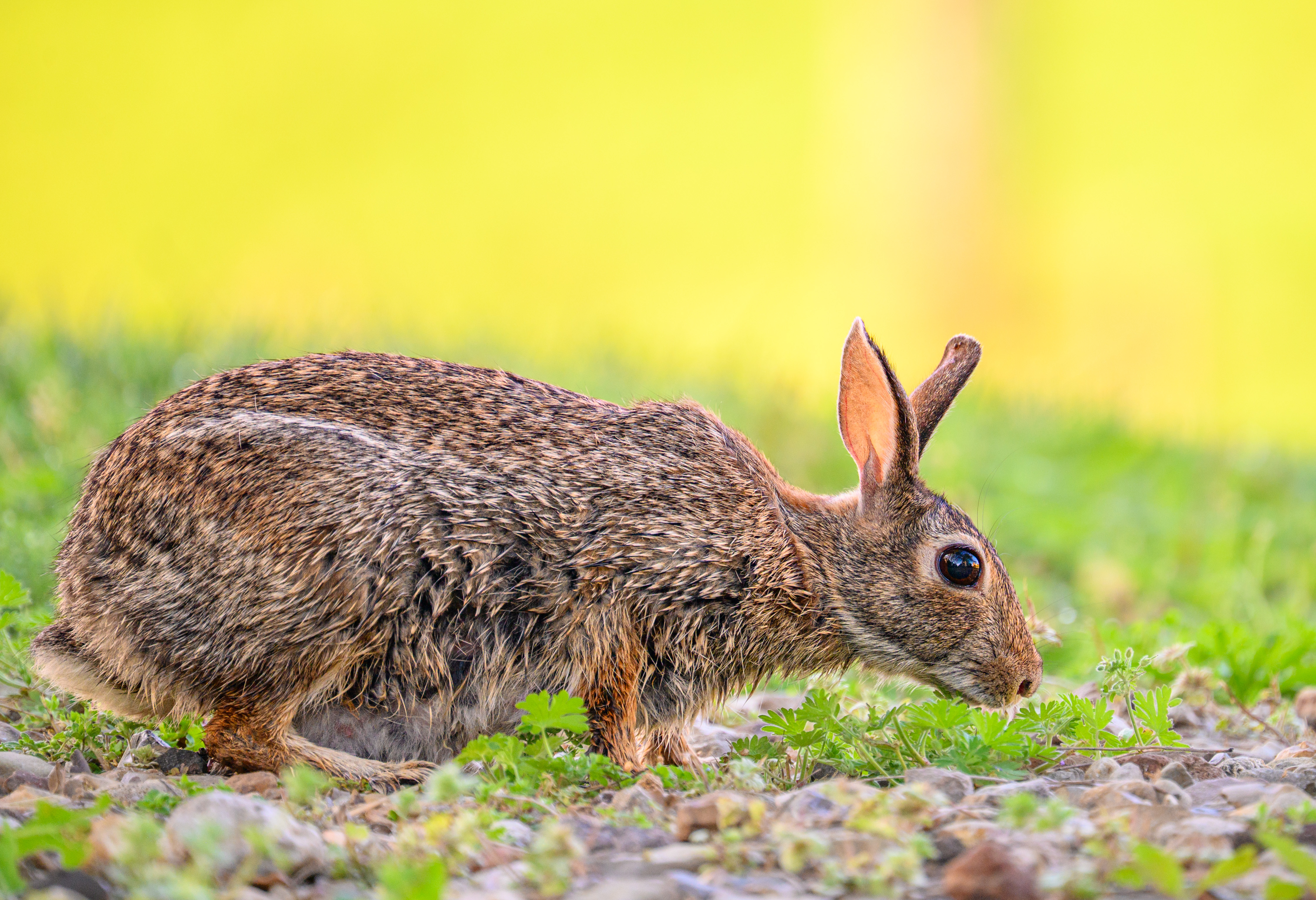 FVP-Close-to-Home-June - Photo 21