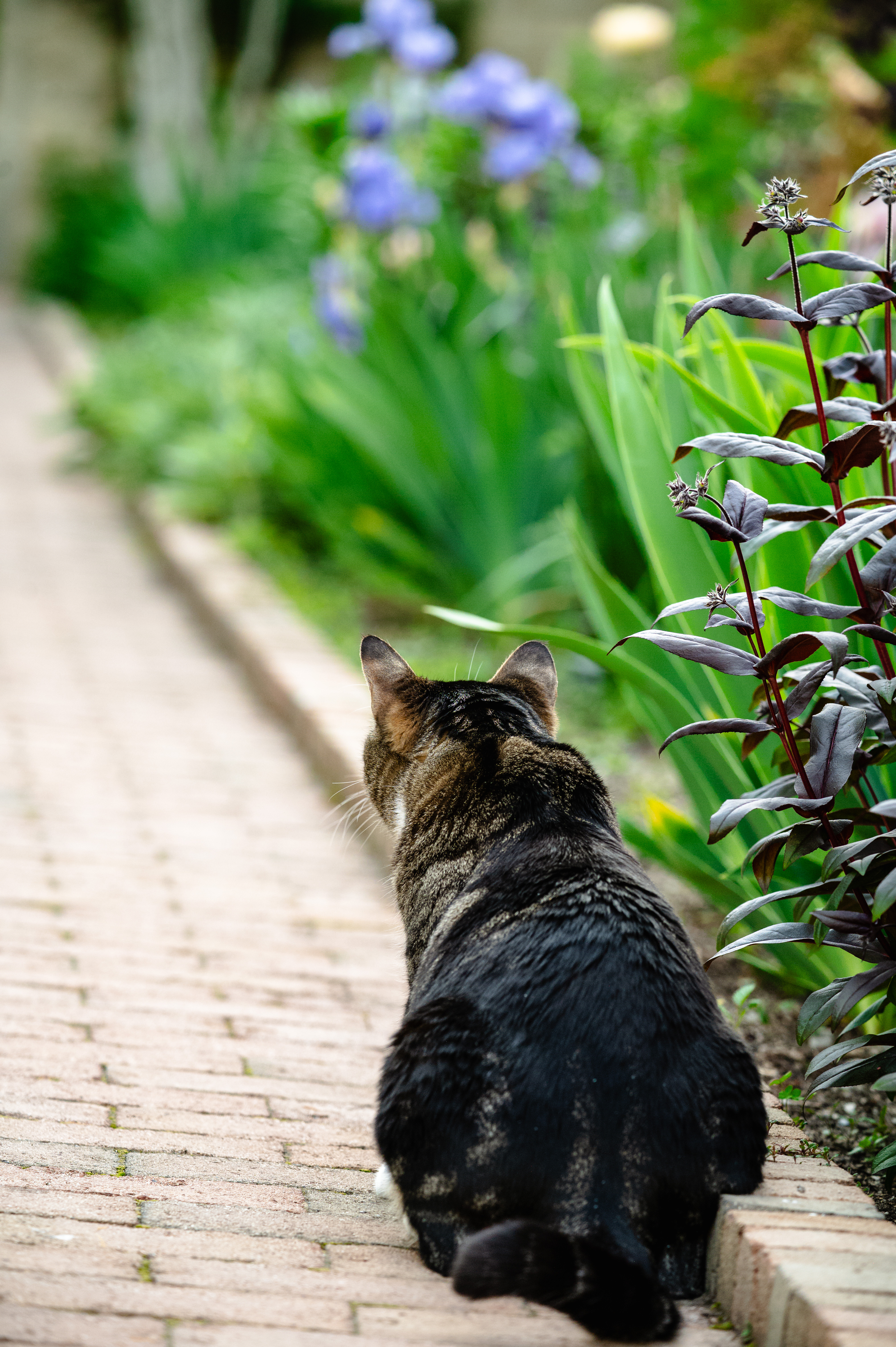 FVP-Close-to-Home-June - Photo 22