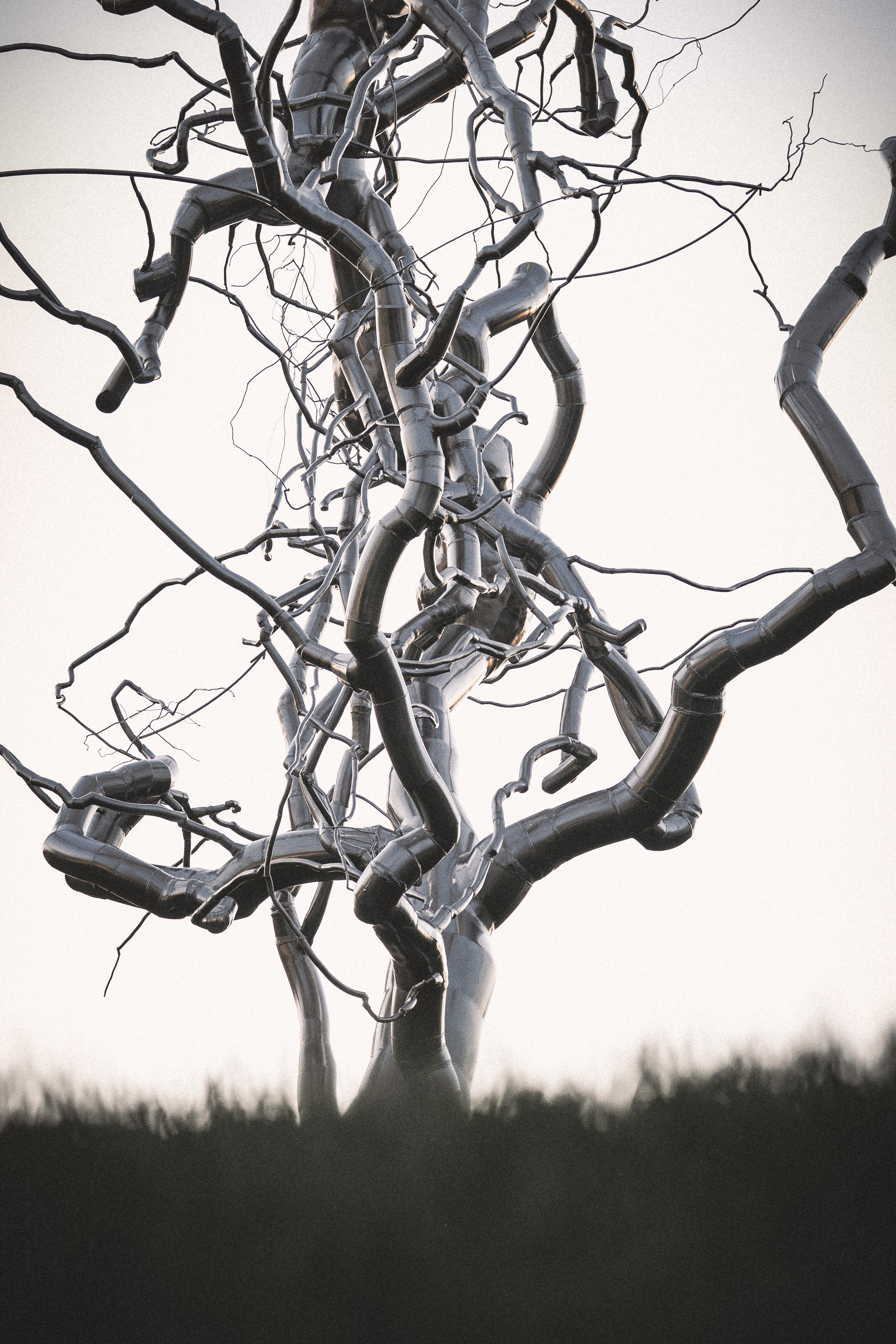 FVP-Close-to-Home-June - Photo 27