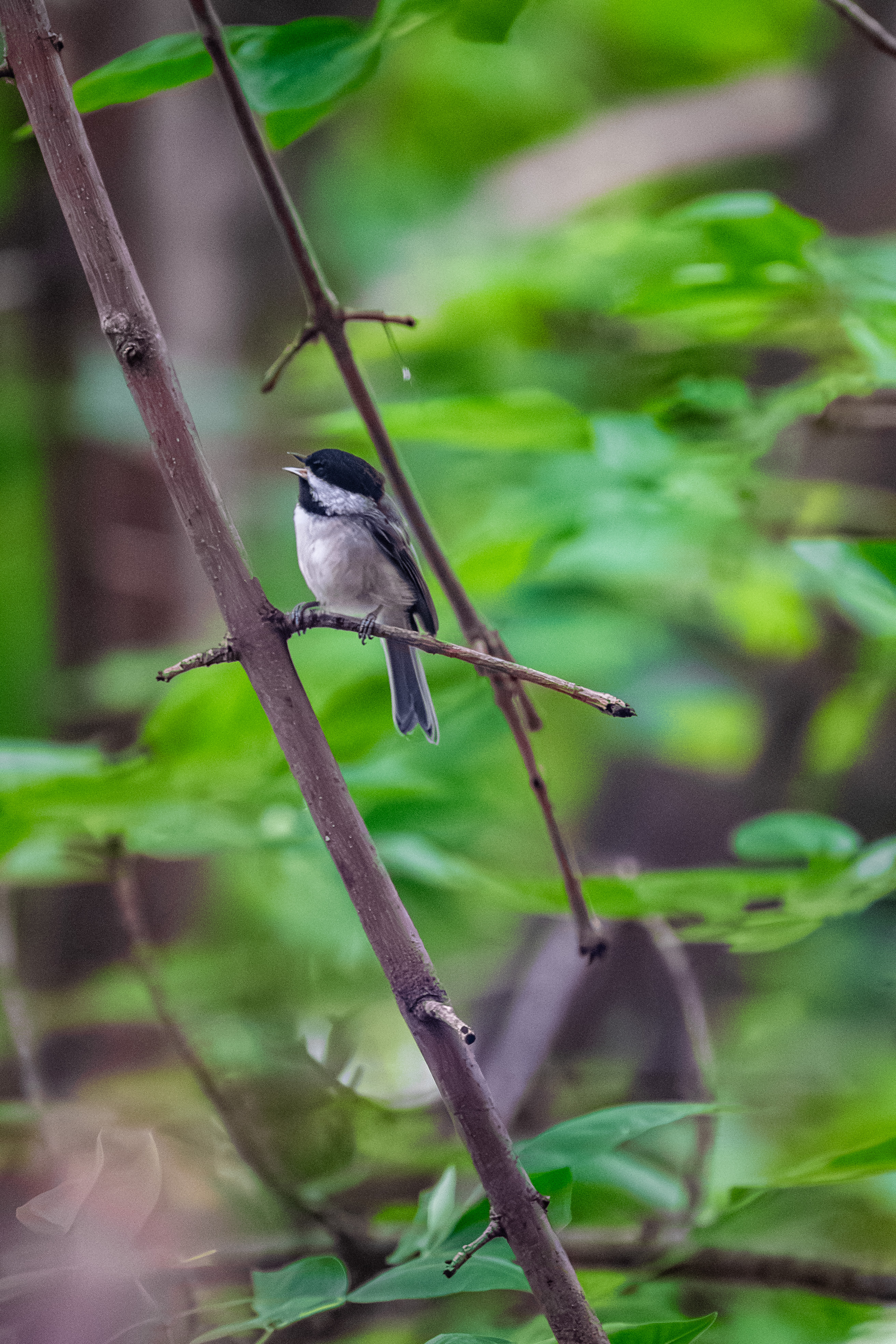 FVP-Close-to-Home-June - Photo 44